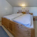 Апартаменты Haus Steinroeschen Зеефельд в Тироле